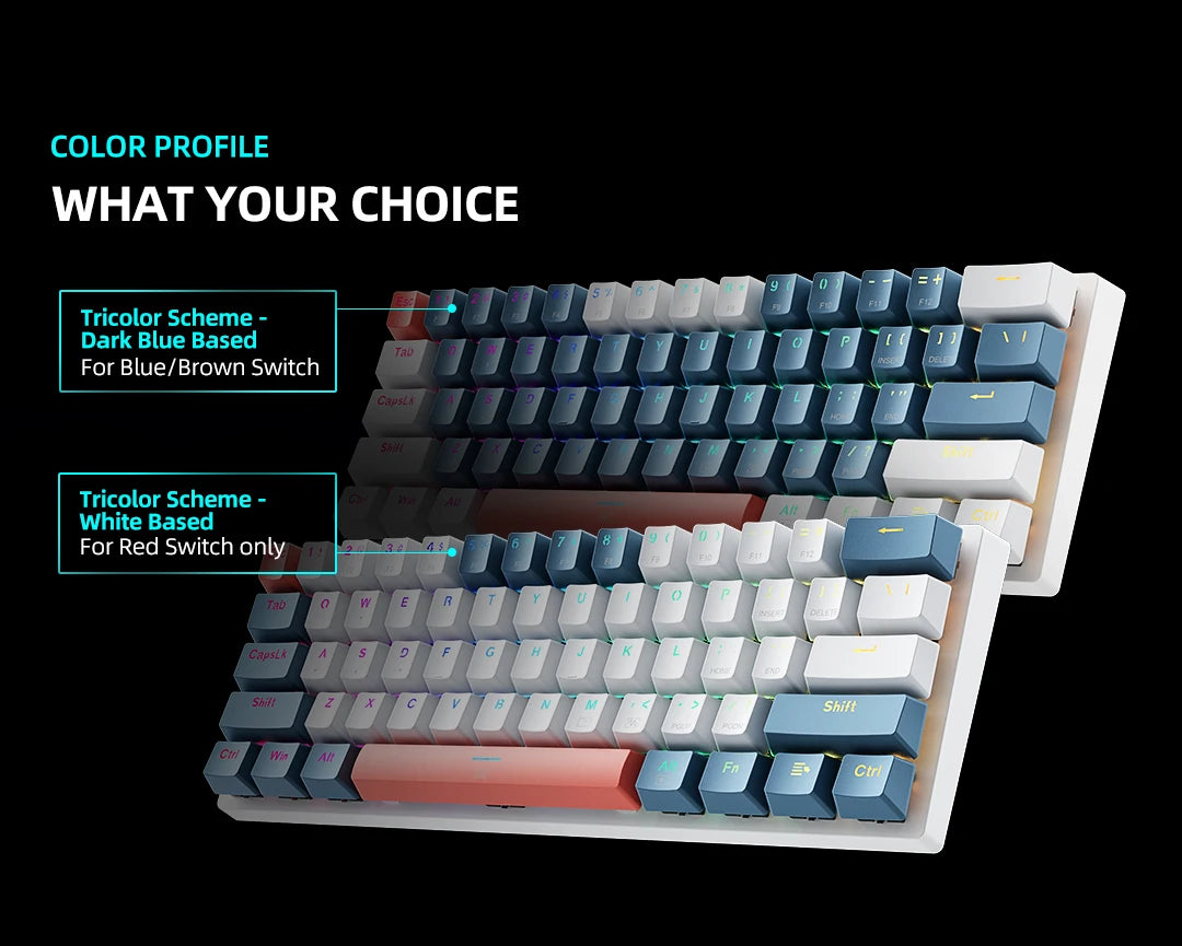 Machenike K500-B61 Mini Mechanical Keyboard: 60% Compact, 61 Hot-Swappable Keys, Wired RGB Gaming Keyboard