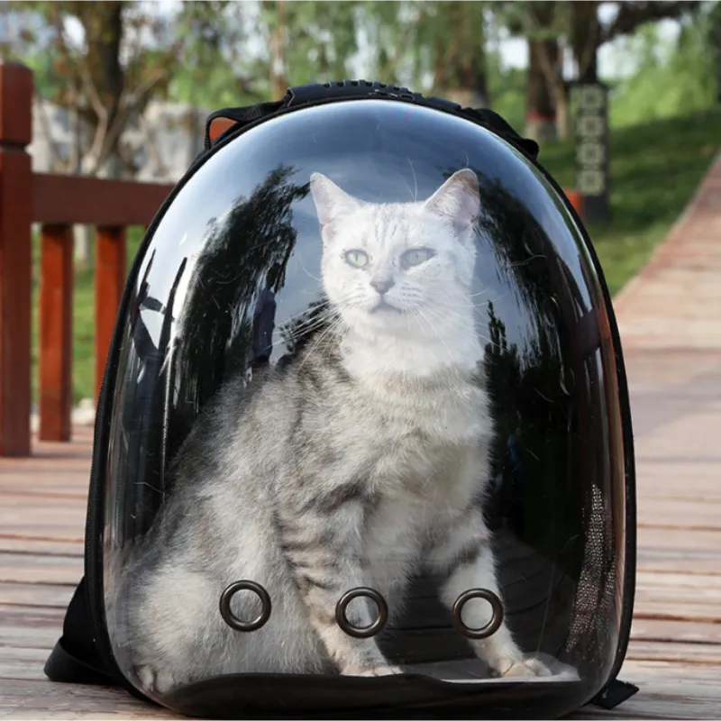 MeowMotion: Modern Cat Backpacks for Stylish Pets