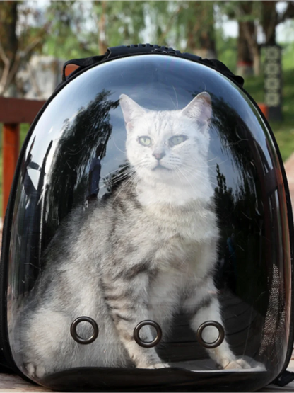 MeowMotion: Modern Cat Backpacks for Stylish Pets